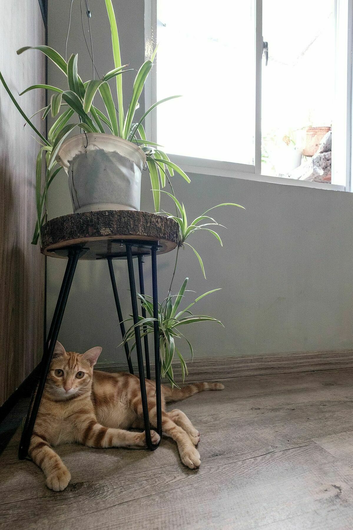 Saigon Inner Home Πόλη Χο Τσι Μινχ Εξωτερικό φωτογραφία